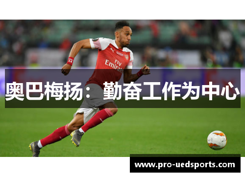 奥巴梅扬：勤奋工作为中心
