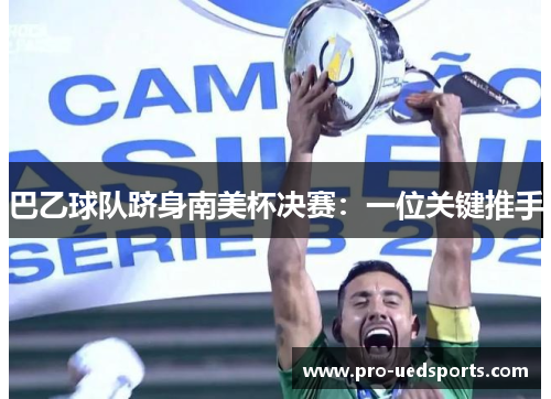 巴乙球队跻身南美杯决赛:一位关键推手 巴乙球队跻身南美杯决赛:一位关键推手
